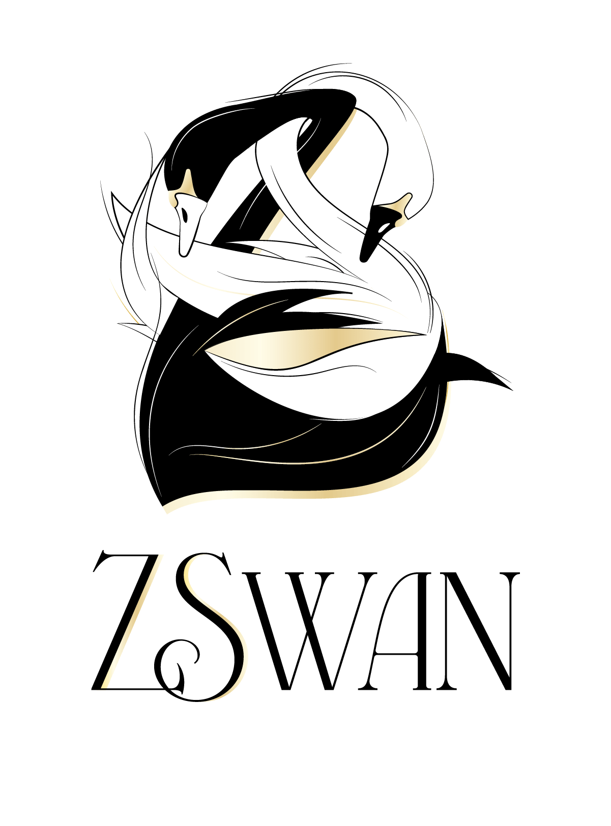 Logo ZSWAN